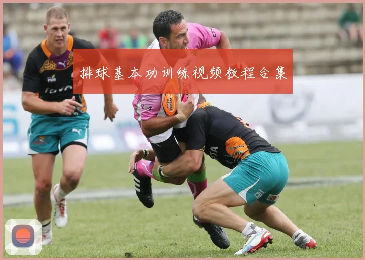 排球基本功训练视频教程合集
